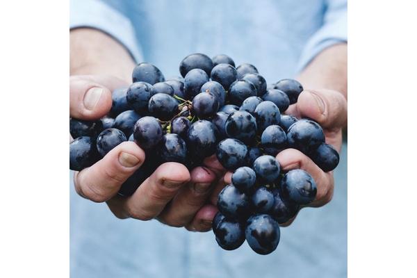 Man holding fresh blurberries